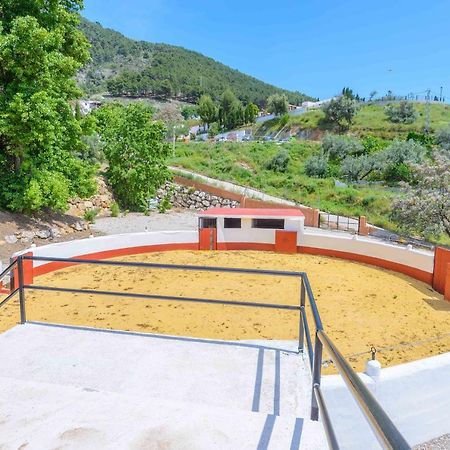 Casa Flores Con Piscina Interior Climatizada Alcaucín المظهر الخارجي الصورة