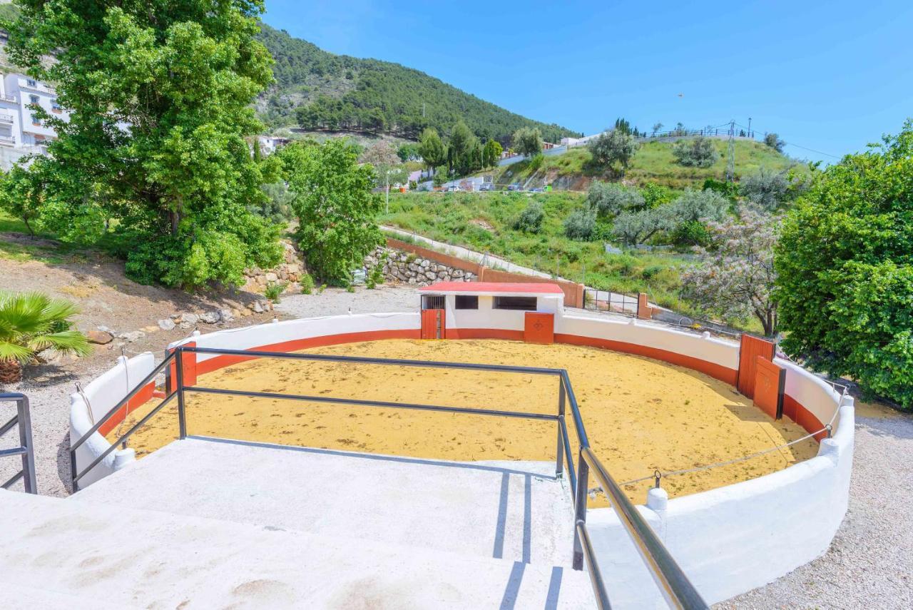 Casa Flores Con Piscina Interior Climatizada Alcaucín المظهر الخارجي الصورة